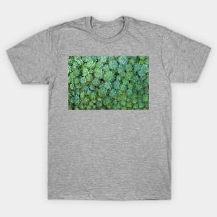 Green Succulent T-Shirt